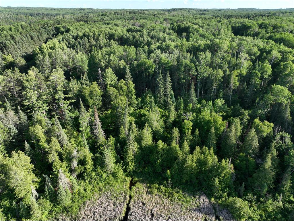 TBD-3 Christmas Point Road NW Walker MN 56484 - Leech Lake 6753999 image6