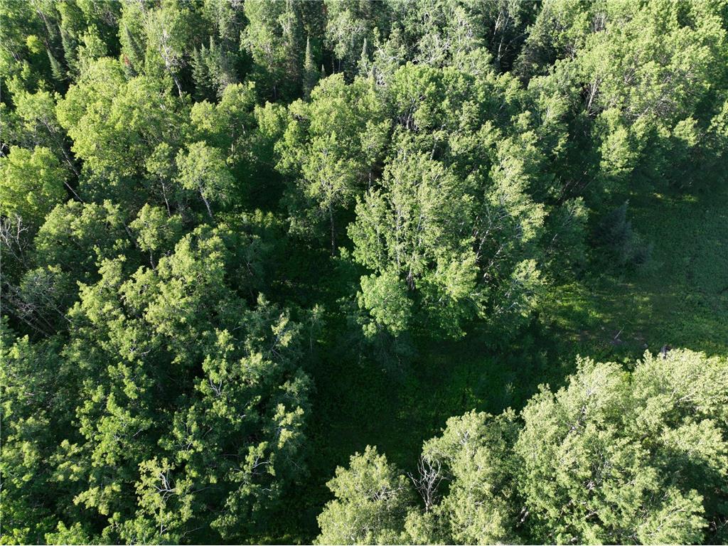 TBD-3 Christmas Point Road NW Walker MN 56484 - Leech Lake 6753999 image7