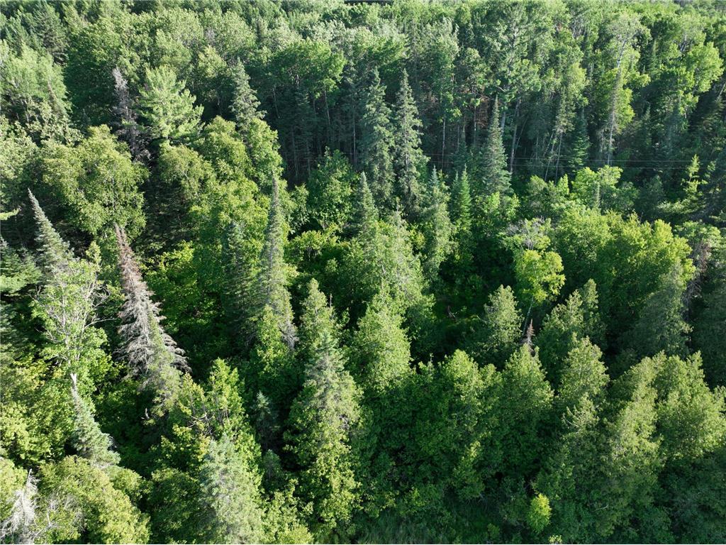 TBD-3 Christmas Point Road NW Walker MN 56484 - Leech Lake 6753999 image8