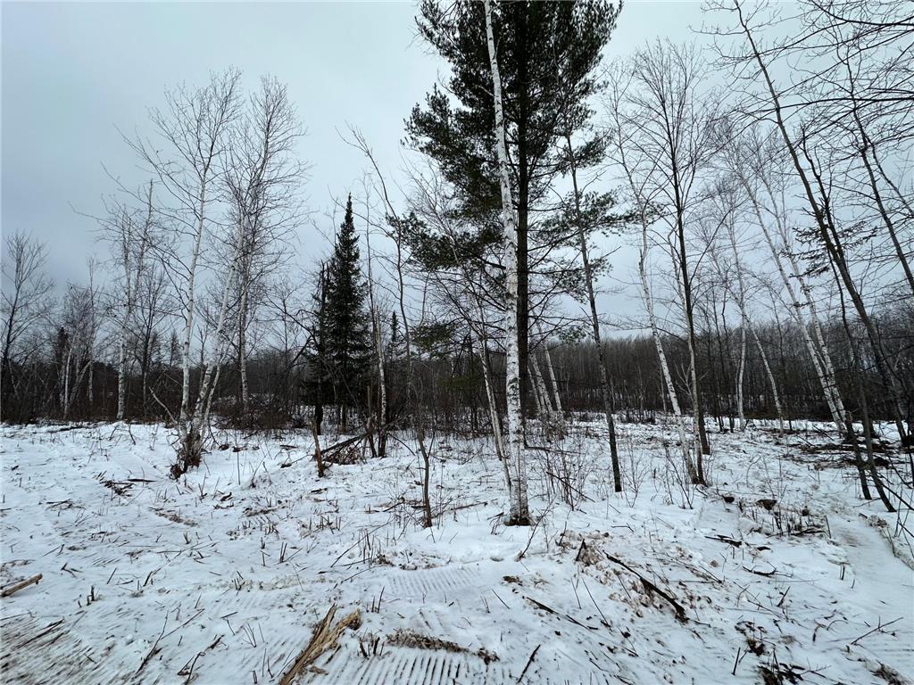 TBD #3 Koecher Road Kerrick MN 55756 7002698 image14