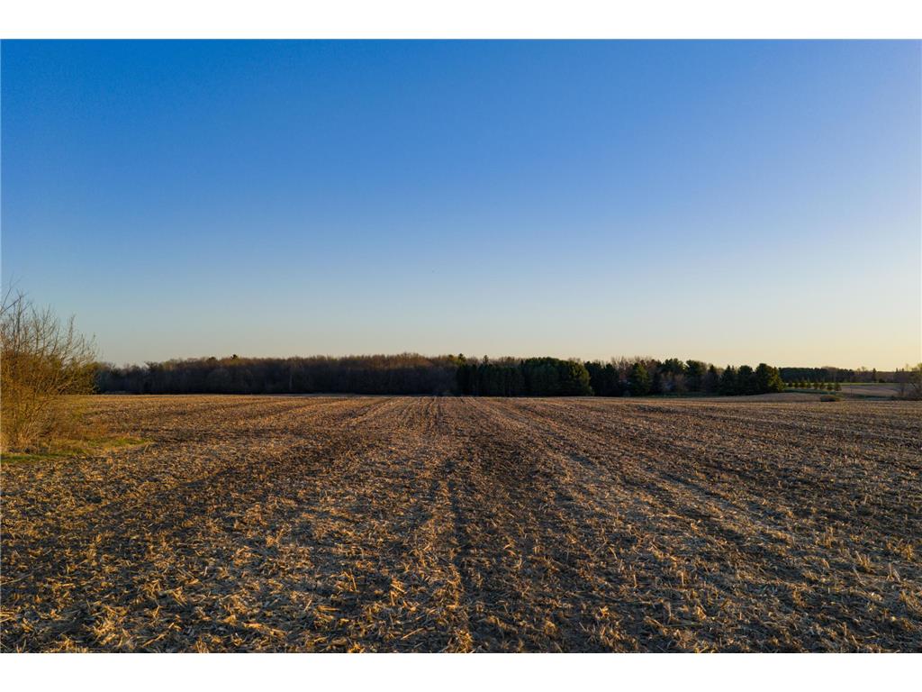 TBD #3 Park Trail Center City MN 55012 7095389 image14