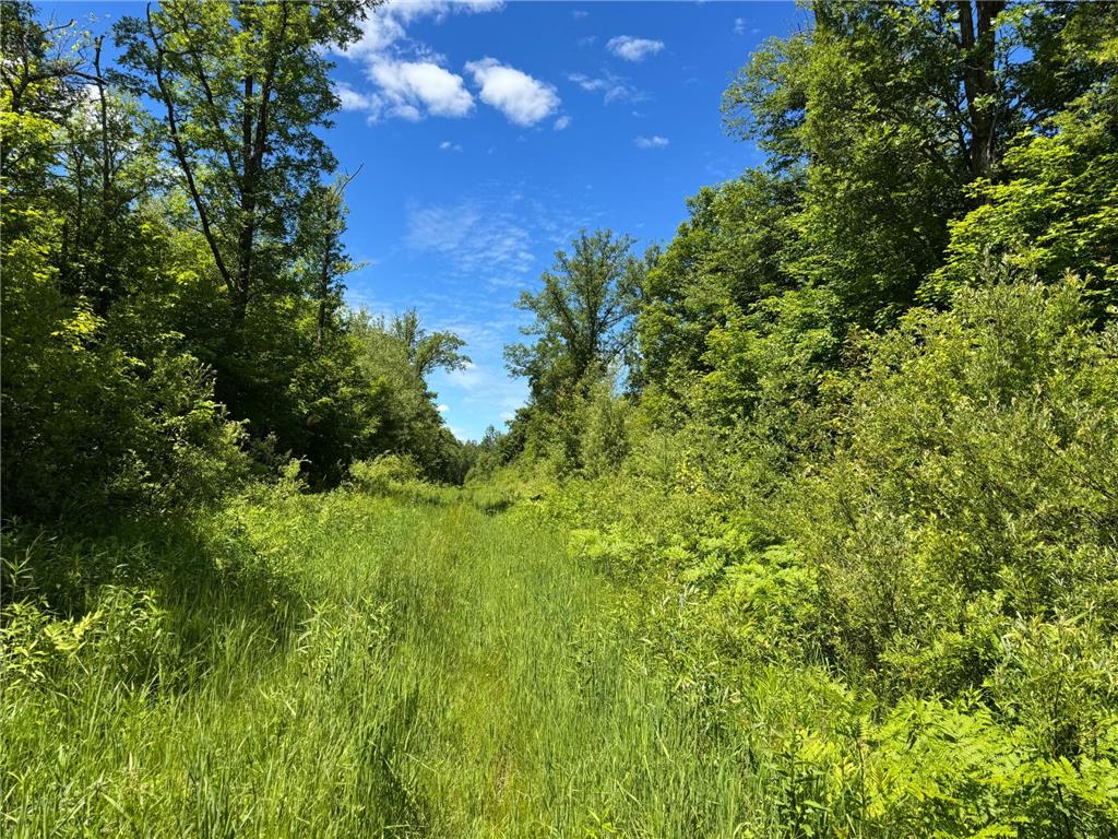 TBD 300th Lane Rice River Twp MN 55760 7098491 image1