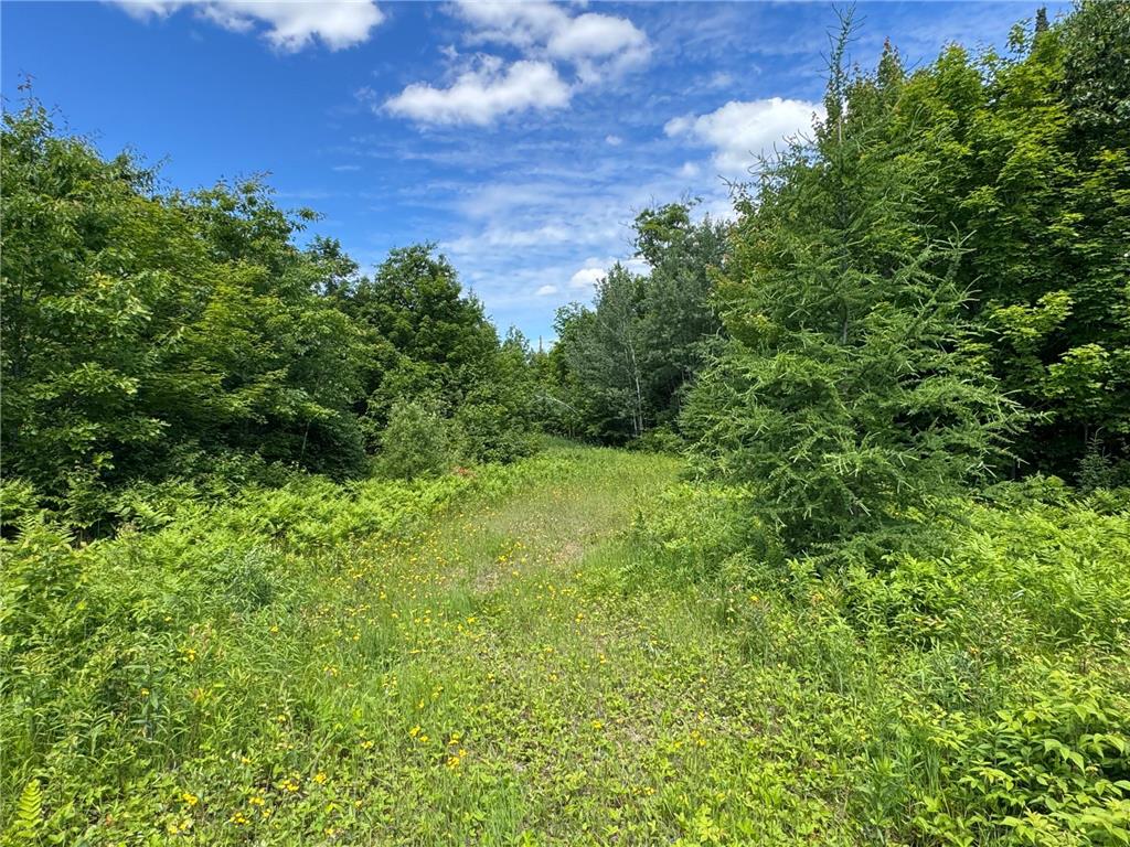 TBD 300th Lane Rice River Twp MN 55760 7098491 image3