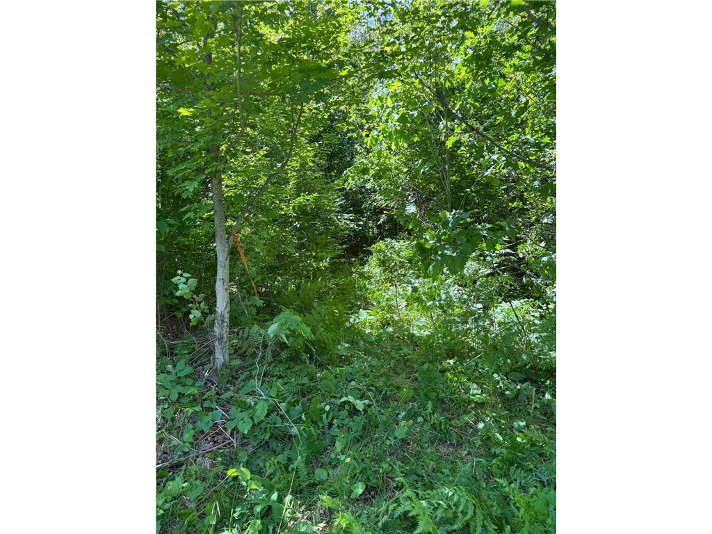 TBD 300th Lane Rice River Twp MN 55760 7098491 image6