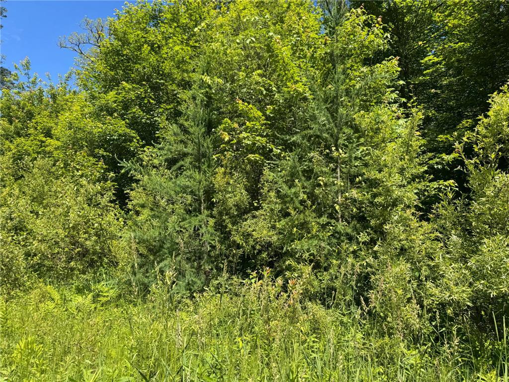 TBD 300th Lane Rice River Twp MN 55760 7098491 image7