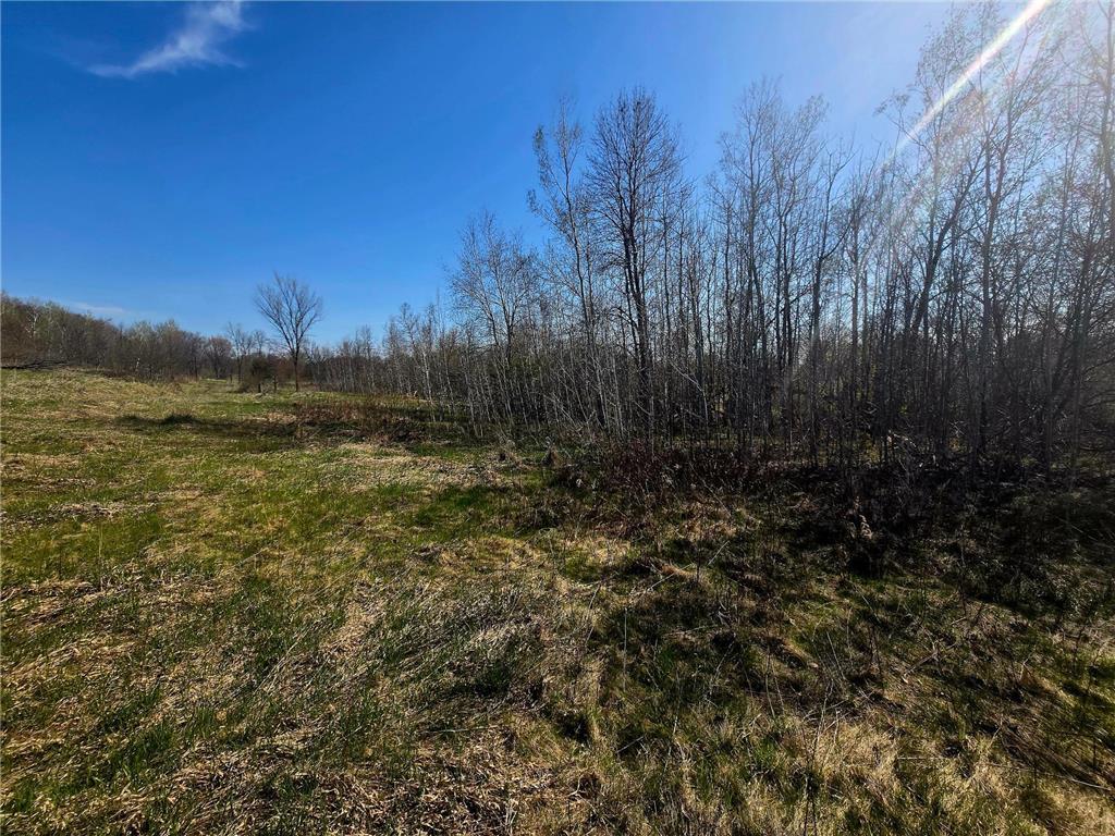 TBD 302 Avenue Detroit Lakes MN 56501 7070625 image4