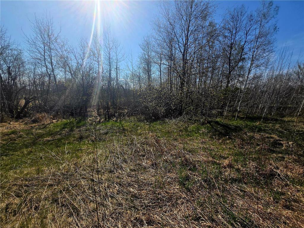 TBD 302 Avenue Detroit Lakes MN 56501 7070625 image6