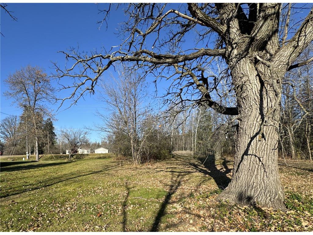 TBD 302xx 480th Street Palisade MN 56469 6809927 image5