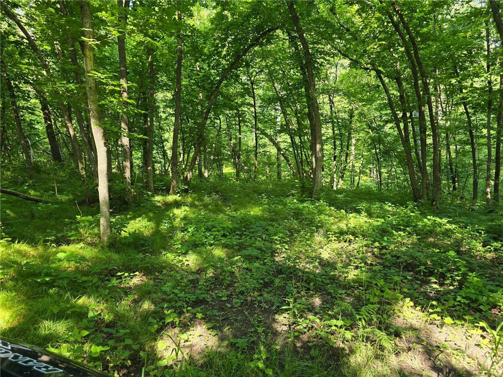 TBD 305th Avenue Erie Twp MN 56501 6777371 image1