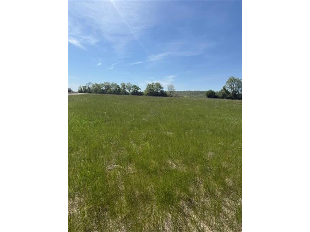 TBD 306th Florence Twp MN 55026 7072612 image2