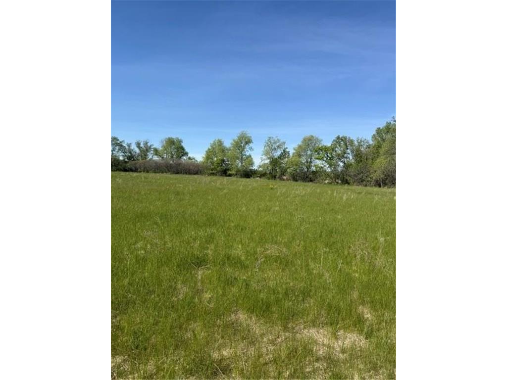 TBD 306th Florence Twp MN 55026 7072612 image4
