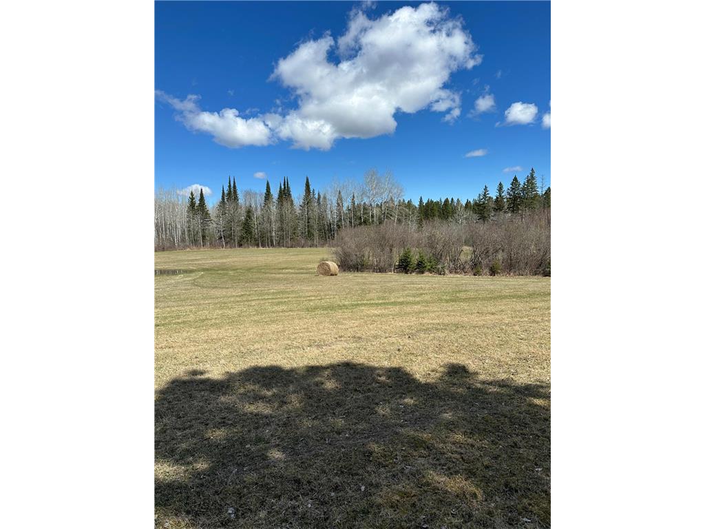 TBD 307 Port Hope Twp MN 56630 7062698 image1