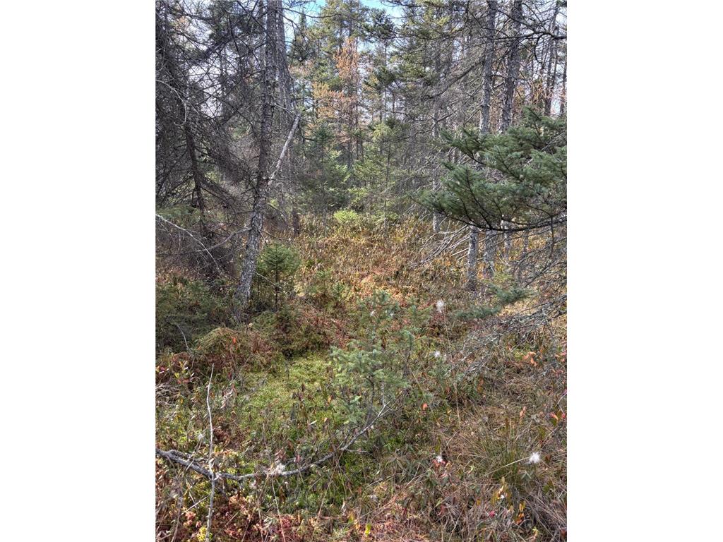 TBD 30th Ave Isle MN 56342 7084508 image13