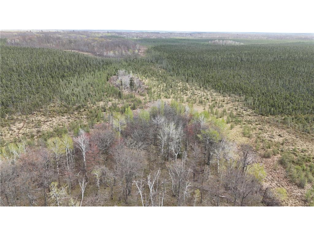 TBD 30th Ave Isle MN 56342 7084508 image17