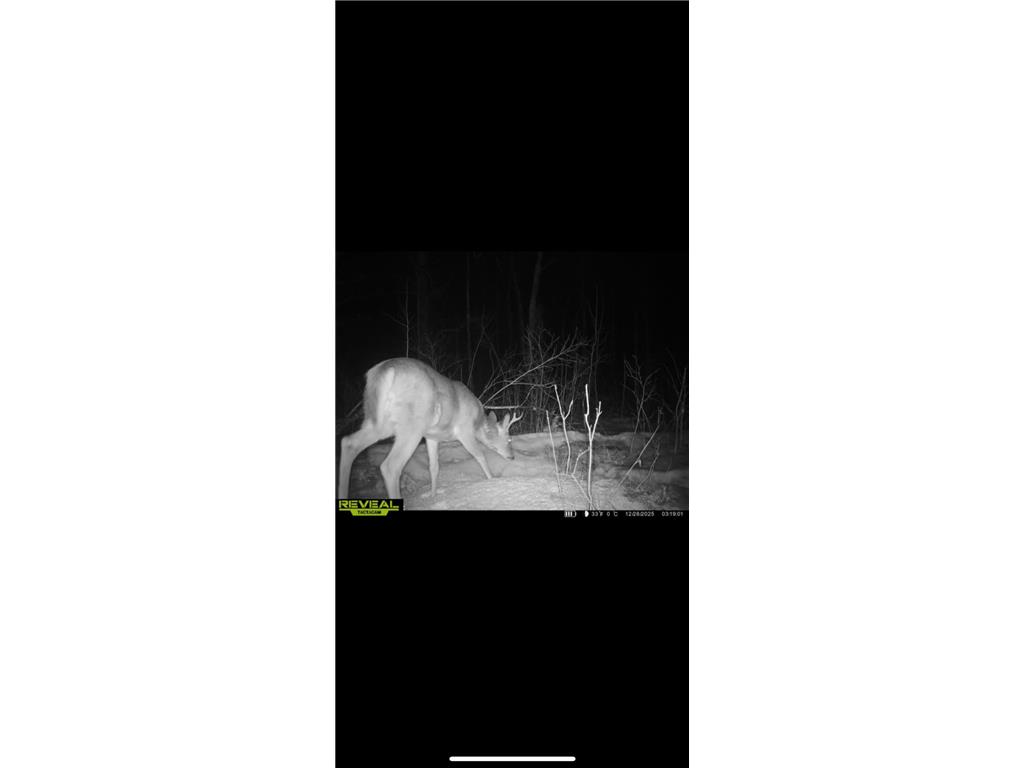 TBD 30th Ave Isle MN 56342 7084508 image18