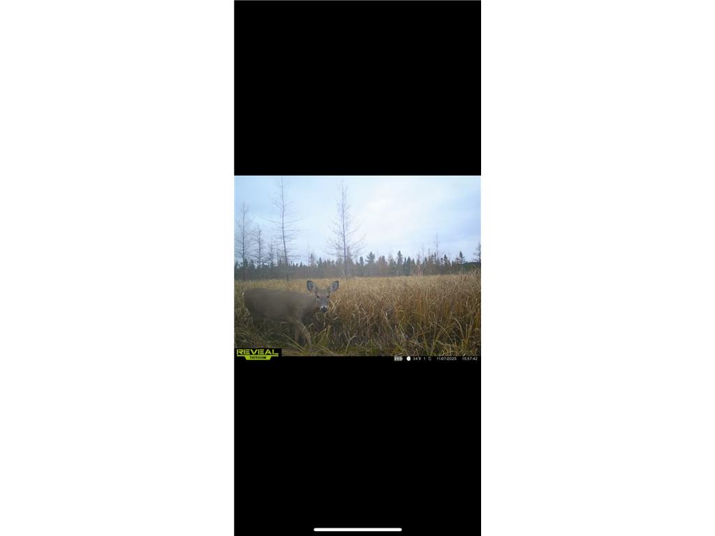 TBD 30th Ave Isle MN 56342 7084508 image19