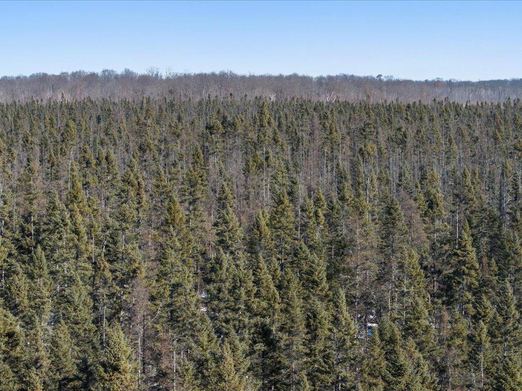 TBD 30th Ave Isle MN 56342 7084508 image4