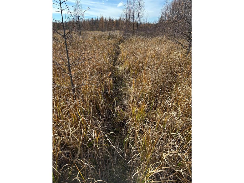 TBD 30th Ave Isle MN 56342 7084508 image6