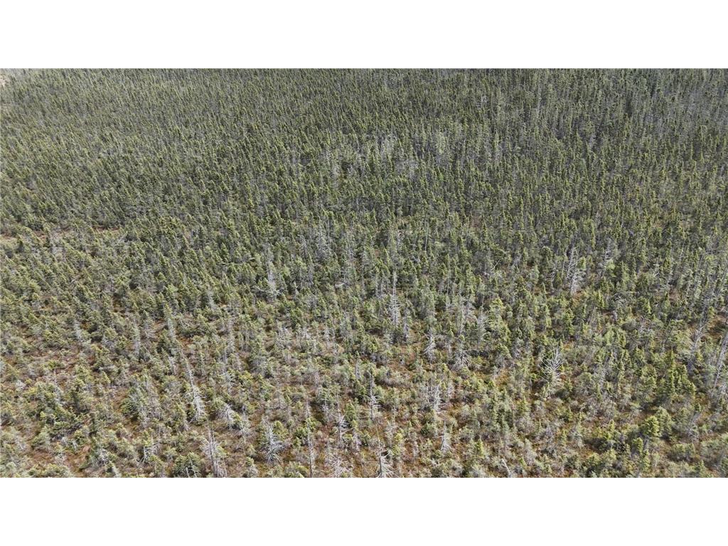 TBD 30th Ave Isle MN 56342 7084508 image7