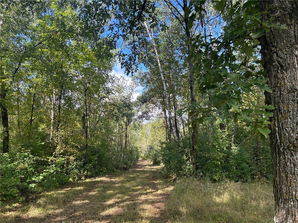 TBD 30th Avenue Isle MN 56342 6779259 image8