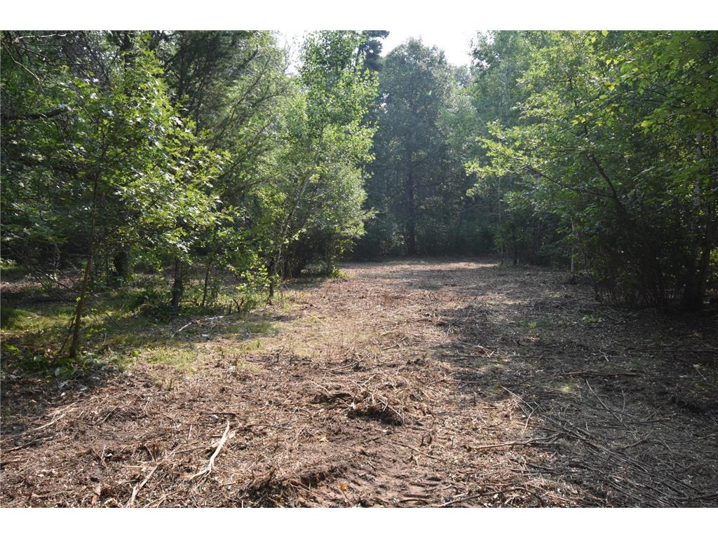 TBD 30th Pine River Twp MN 56474 6763811 image1