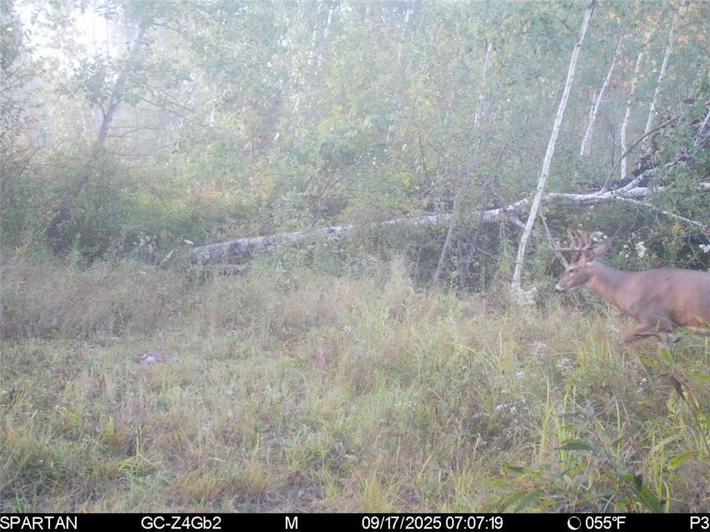TBD 310th Avenue Brook Park MN 55007 6767204 image27