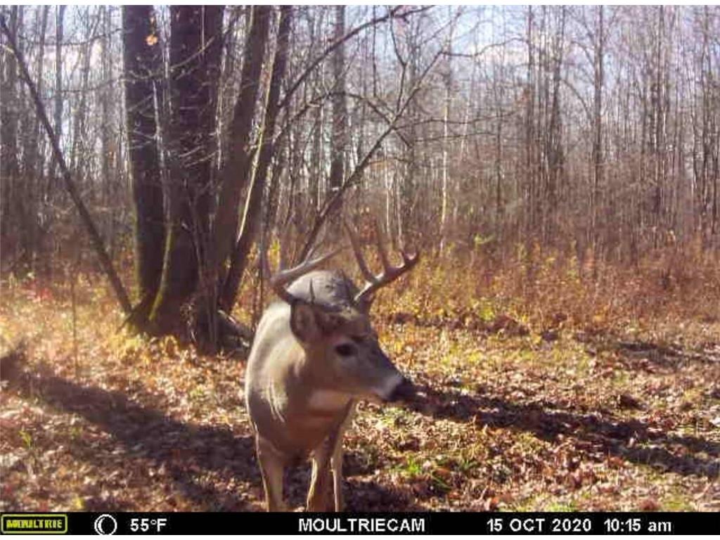 TBD 310th Avenue Brook Park MN 55007 6767204 image28