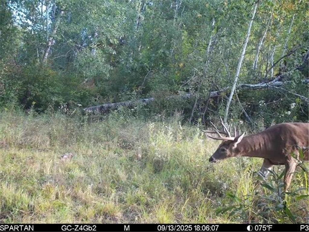 TBD 310th Avenue Brook Park MN 55007 6767204 image29