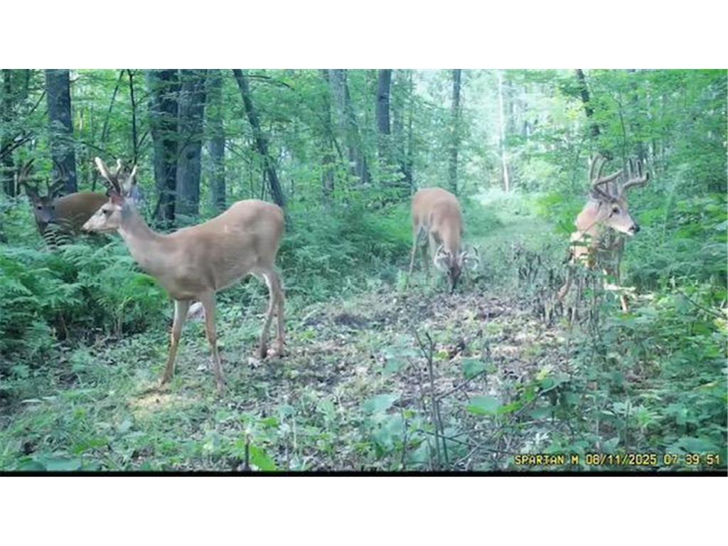 TBD 310th Avenue Brook Park MN 55007 6767204 image30