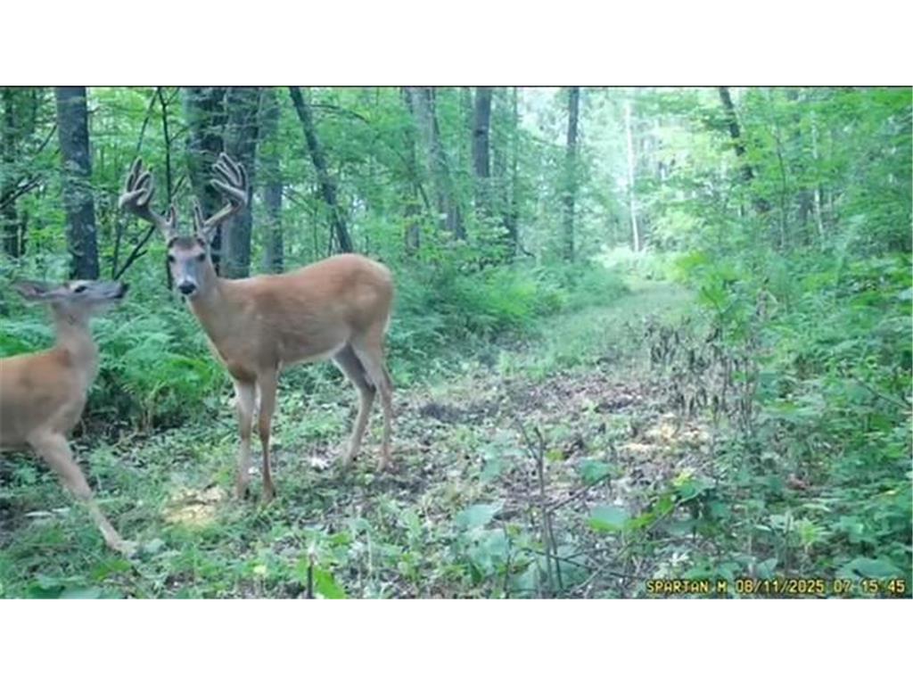 TBD 310th Avenue Brook Park MN 55007 6767204 image31