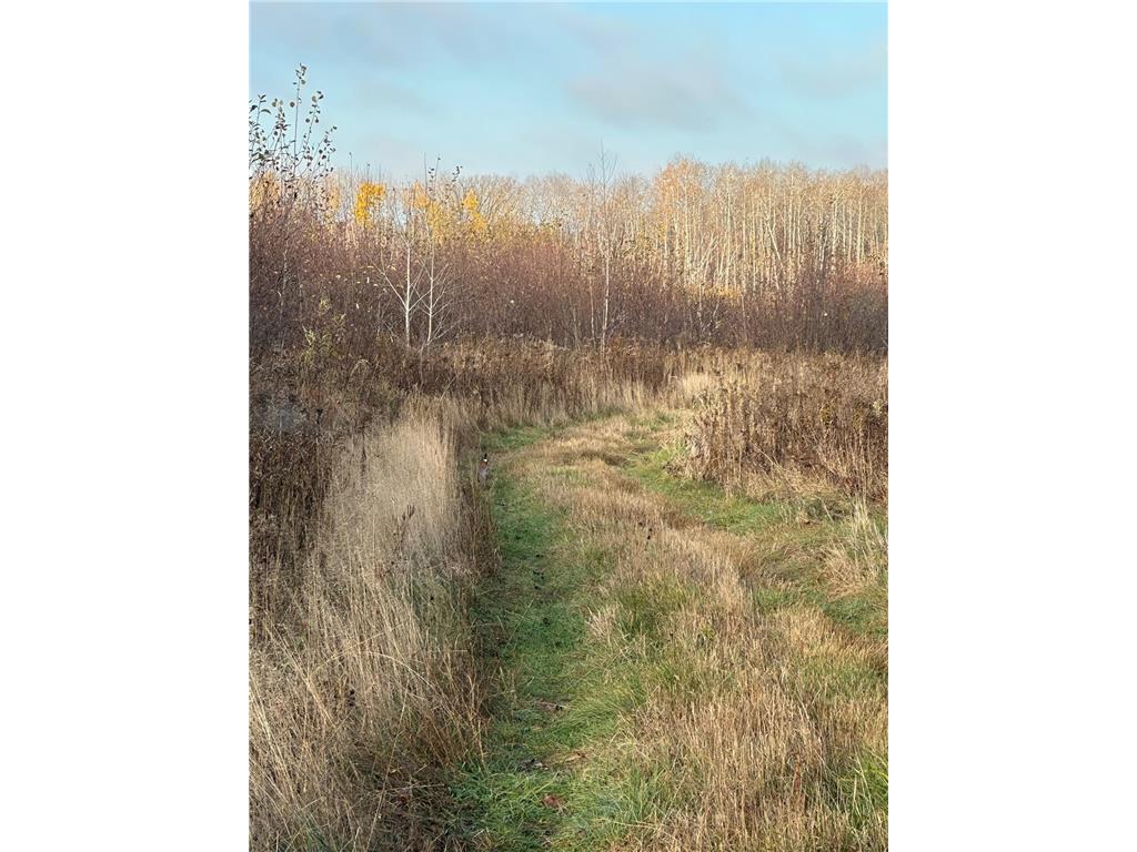 TBD 310th Avenue Brook Park MN 55007 6767204 image38