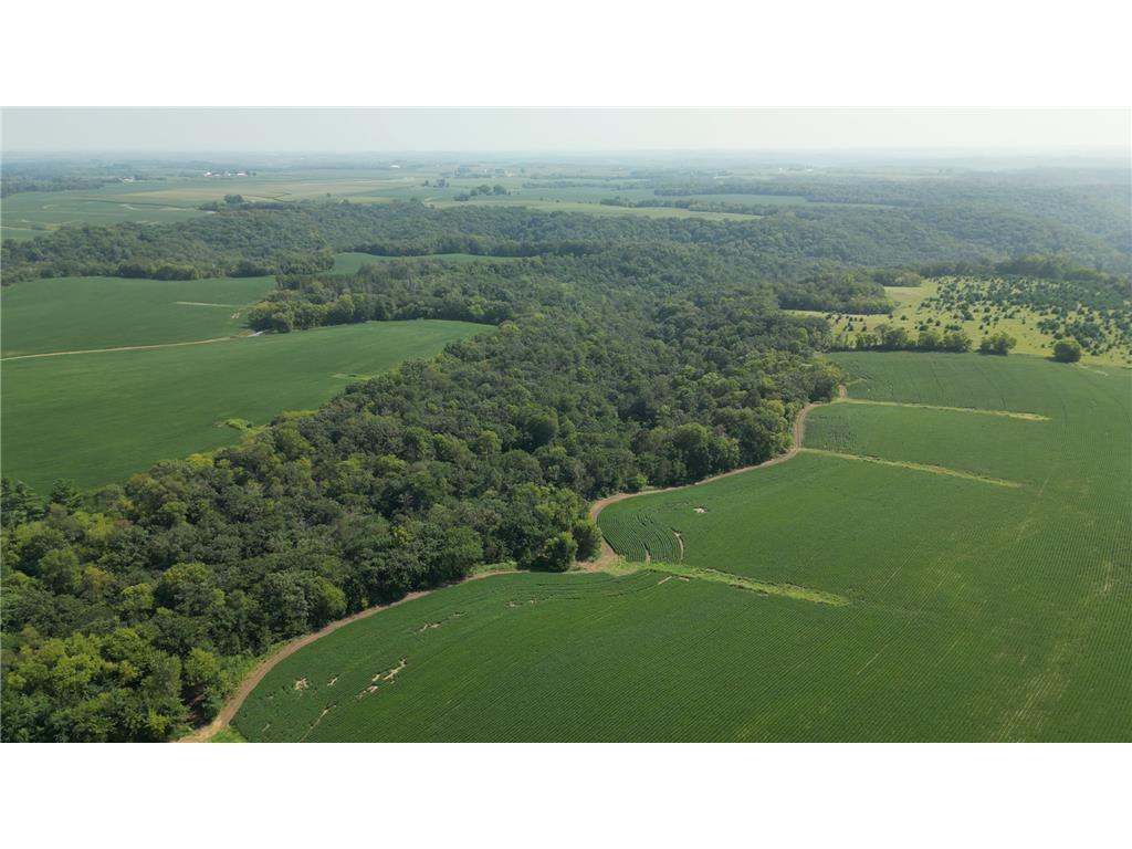 TBD 310th Street Pilot Mound Twp MN 55949 6587910 image1