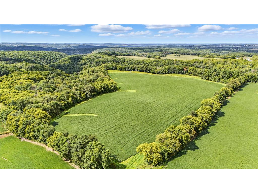 TBD 310th Street Street Salem Twp WI 54750 6778199 image1