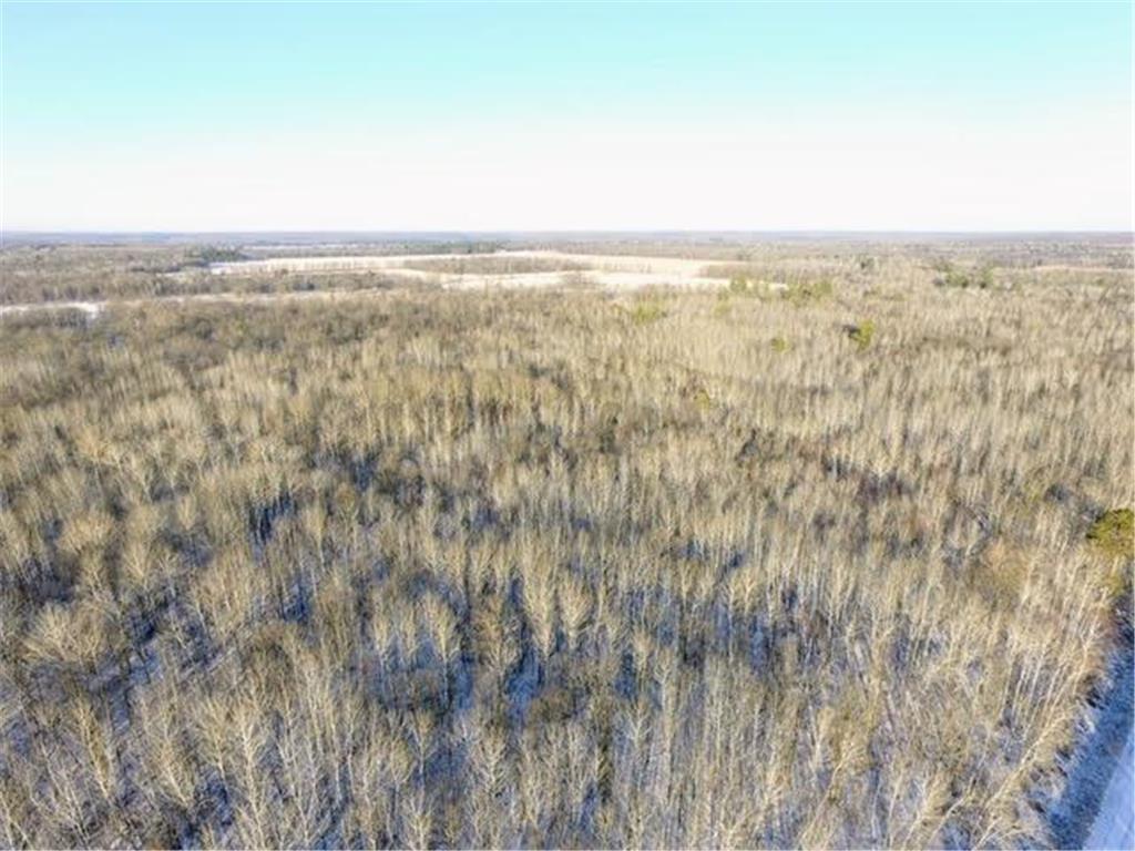 TBD 315th Avenue Laporte MN 56461 6469985 image1