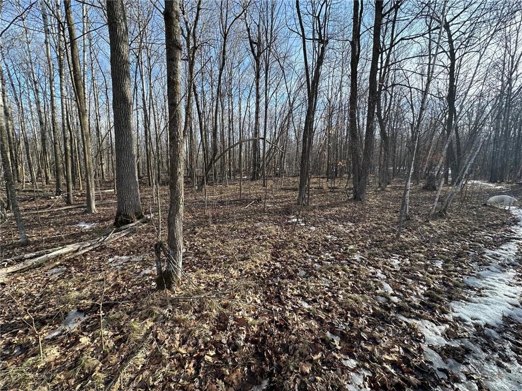 TBD- 315th Avenue Laporte MN 56461 7040923 image10