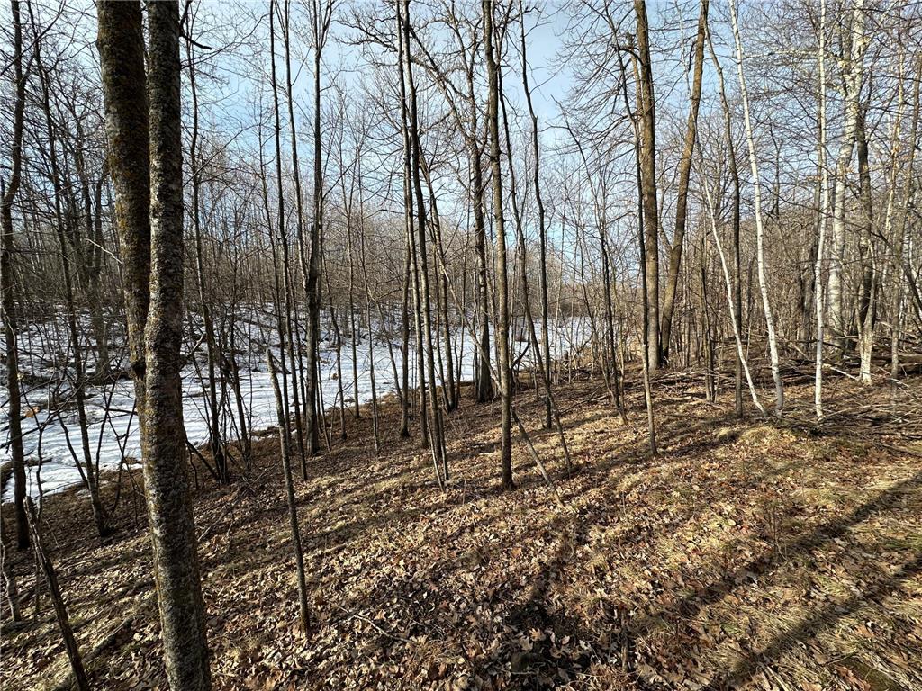 TBD- 315th Avenue Laporte MN 56461 7040923 image12