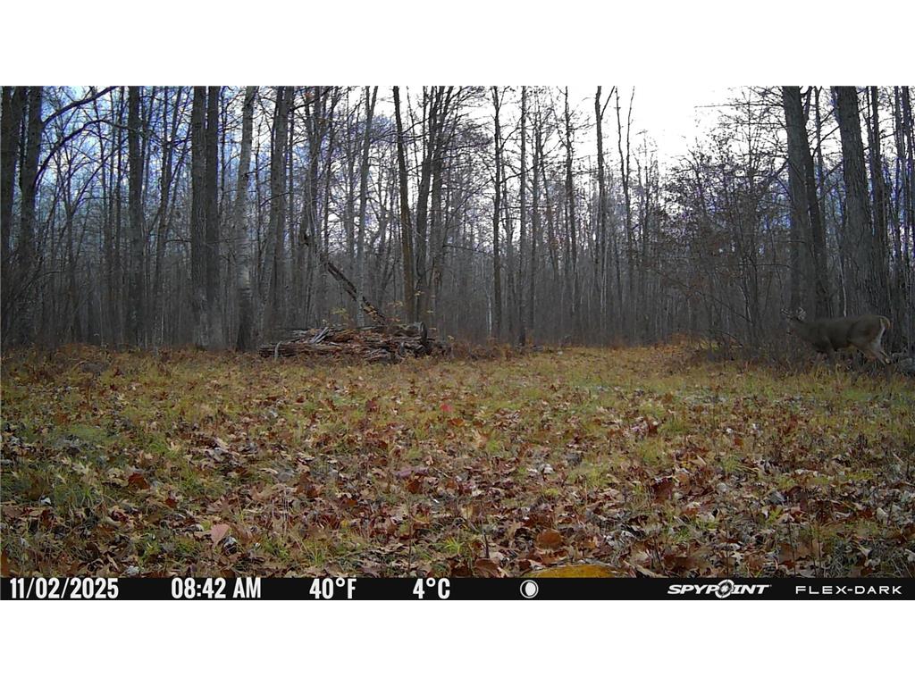 TBD- 315th Avenue Laporte MN 56461 7040923 image15