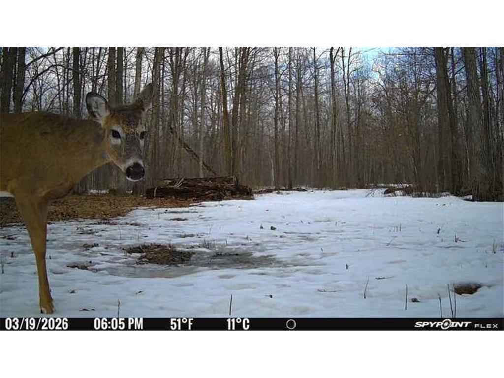 TBD- 315th Avenue Laporte MN 56461 7040923 image23