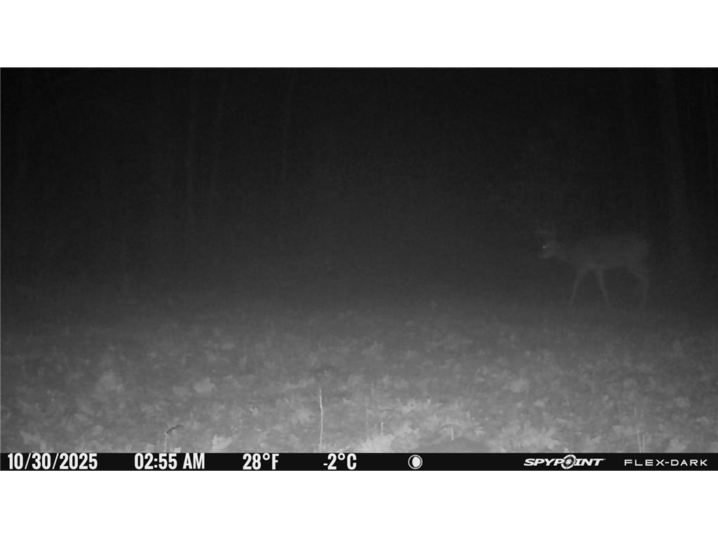 TBD- 315th Avenue Laporte MN 56461 7040923 image27