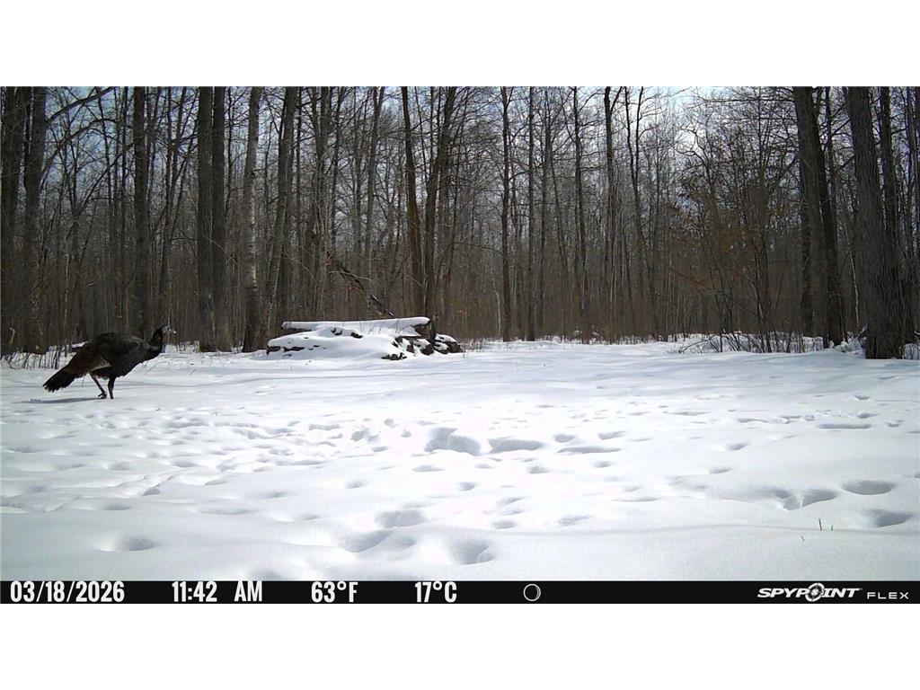 TBD- 315th Avenue Laporte MN 56461 7040923 image35