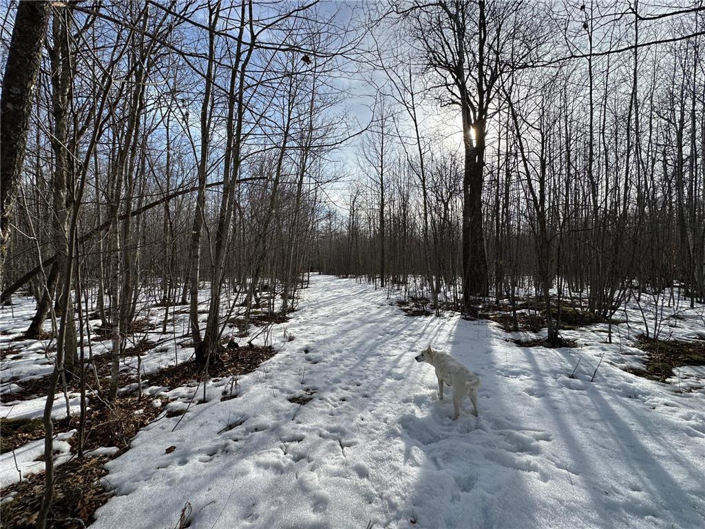 TBD 315th Avenue Laporte MN 56461 7040927 image11