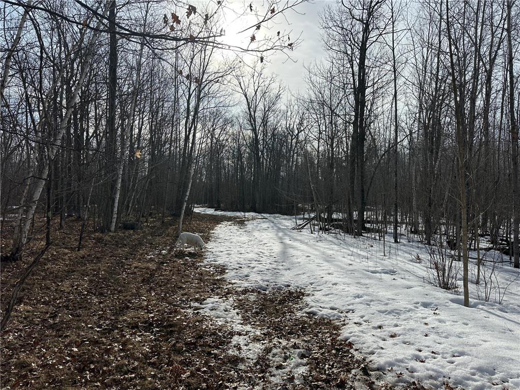 TBD 315th Avenue Laporte MN 56461 7040927 image13