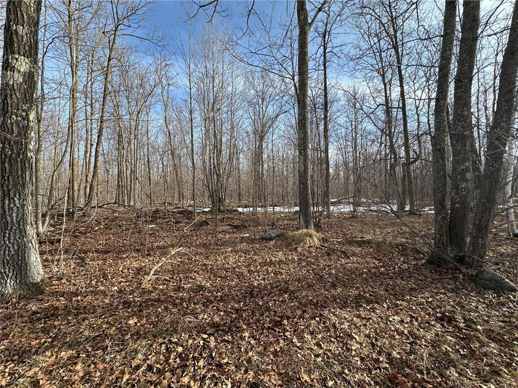 TBD 315th Avenue Laporte MN 56461 7040927 image14