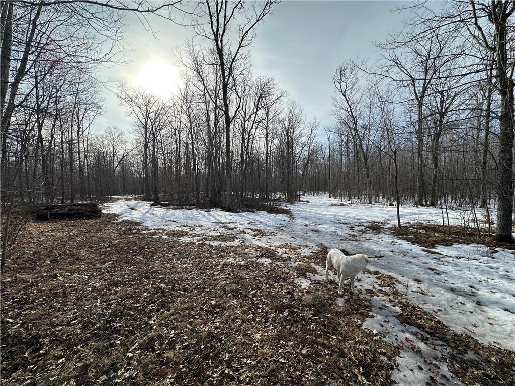 TBD 315th Avenue Laporte MN 56461 7040927 image15