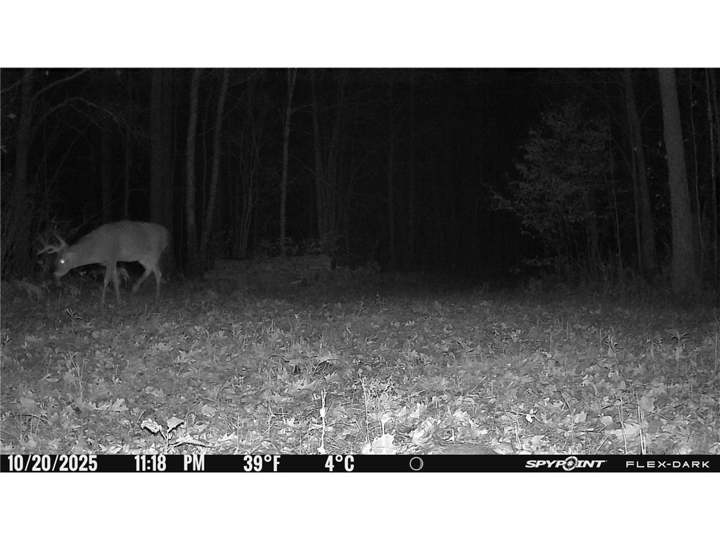 TBD 315th Avenue Laporte MN 56461 7040927 image17