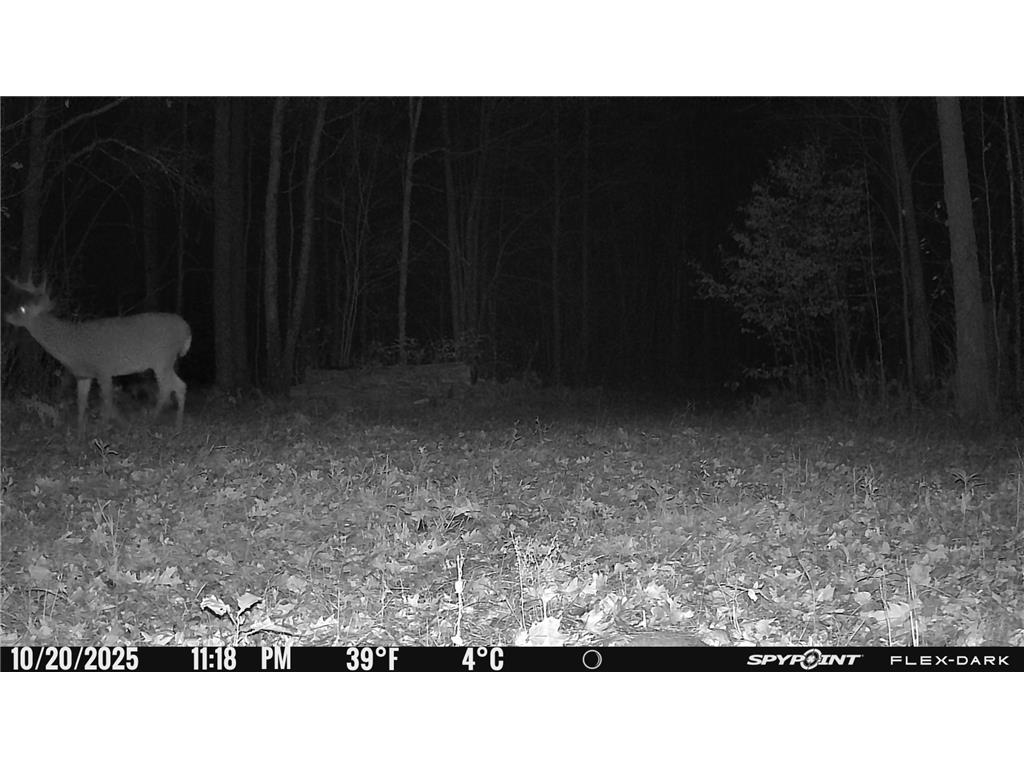 TBD 315th Avenue Laporte MN 56461 7040927 image18
