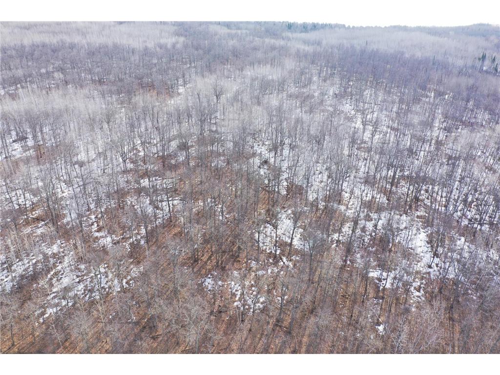 TBD 315th Avenue Laporte MN 56461 7040927 image2