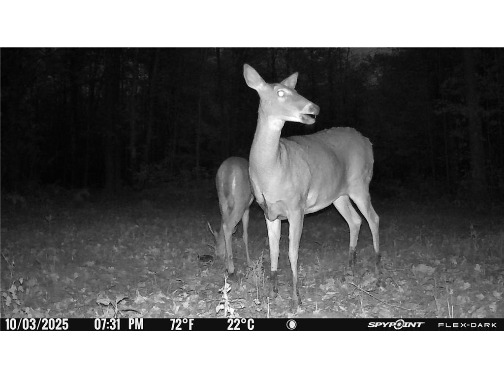 TBD 315th Avenue Laporte MN 56461 7040927 image23