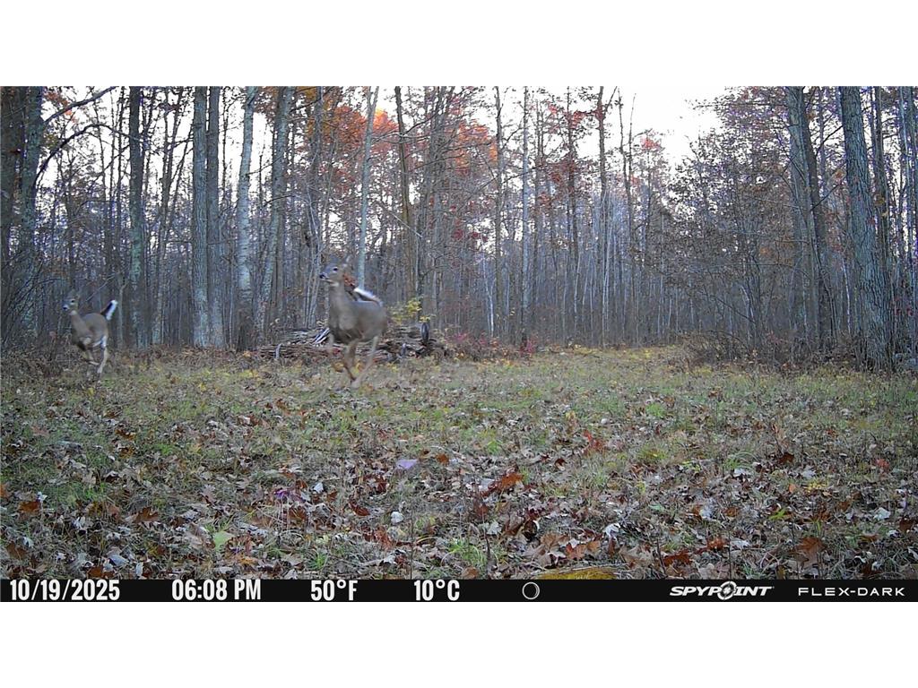 TBD 315th Avenue Laporte MN 56461 7040927 image27