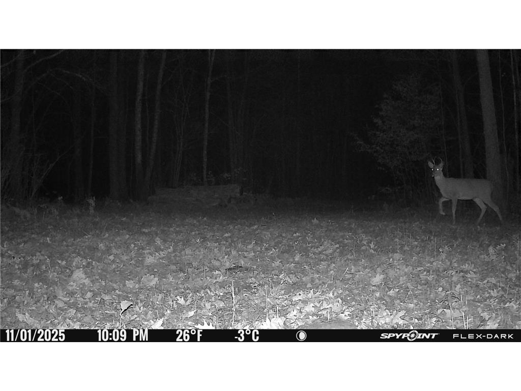 TBD 315th Avenue Laporte MN 56461 7040927 image29